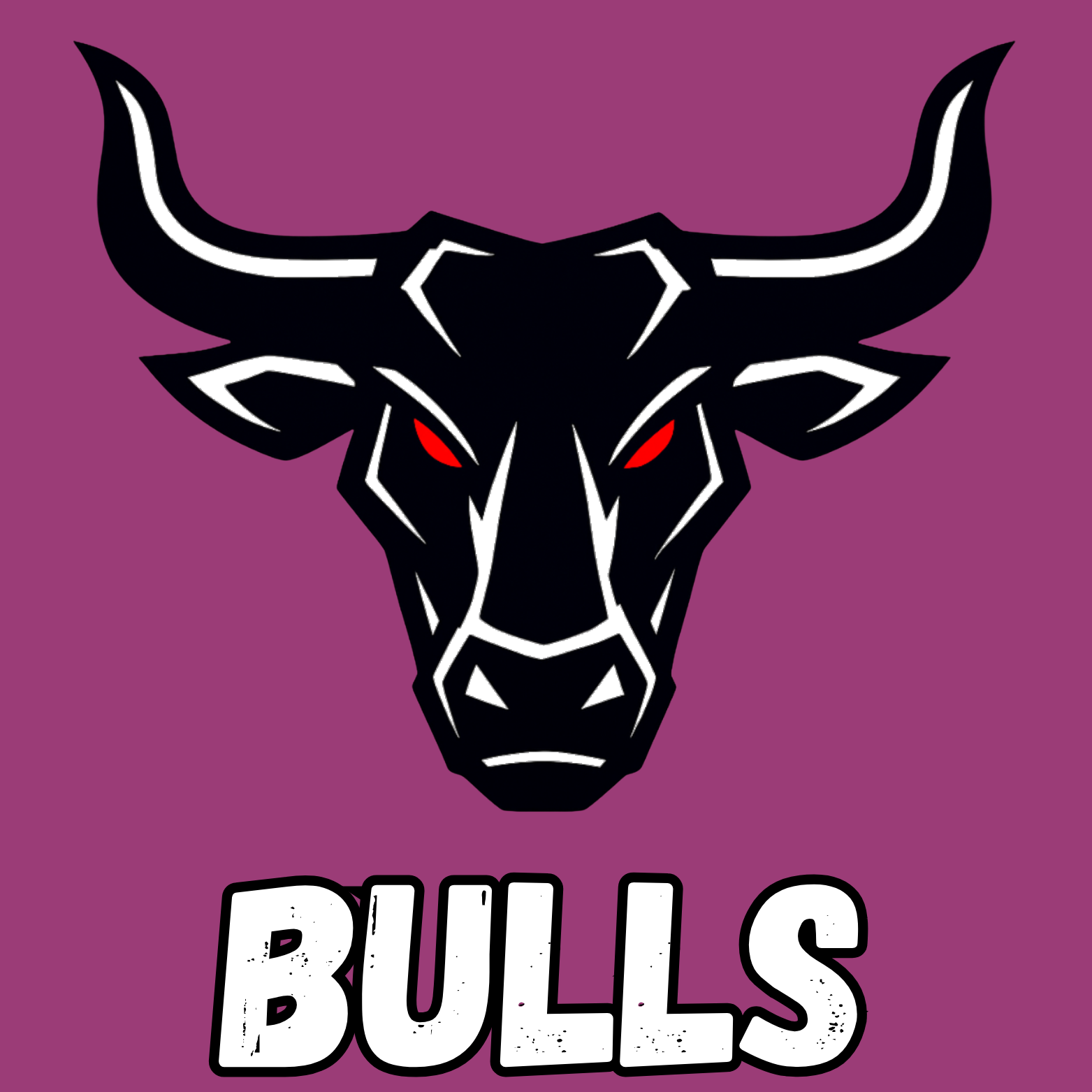 The Bulls